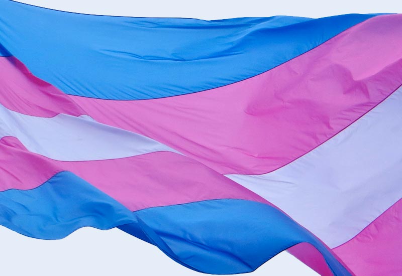dia nacional da visibilidade trans bandeira